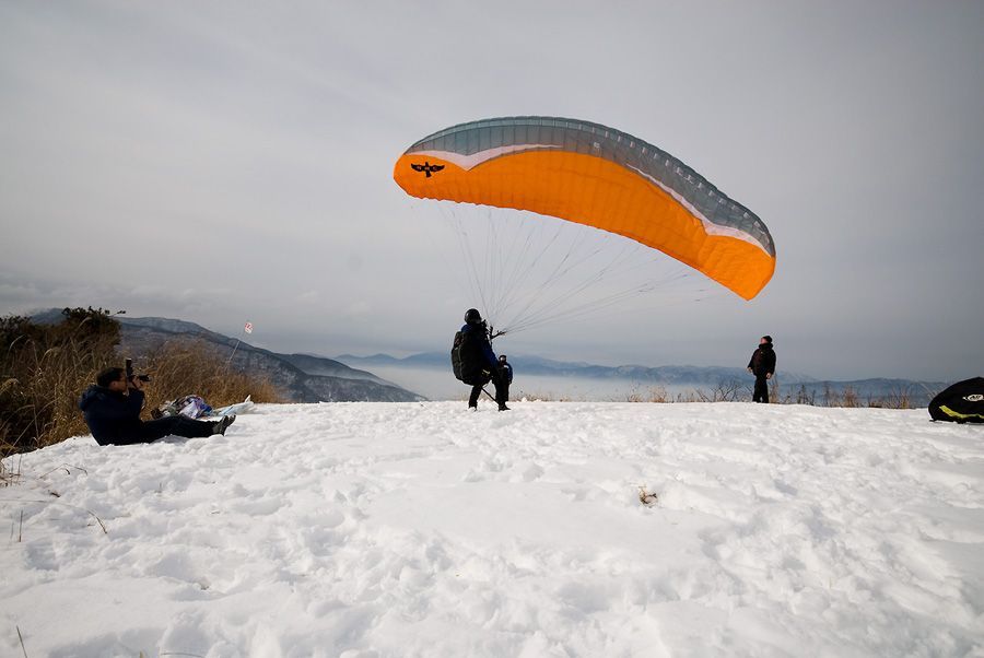 _D124850.jpg