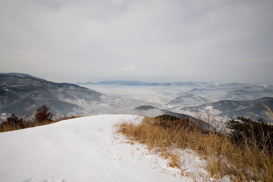 _D124814.jpg