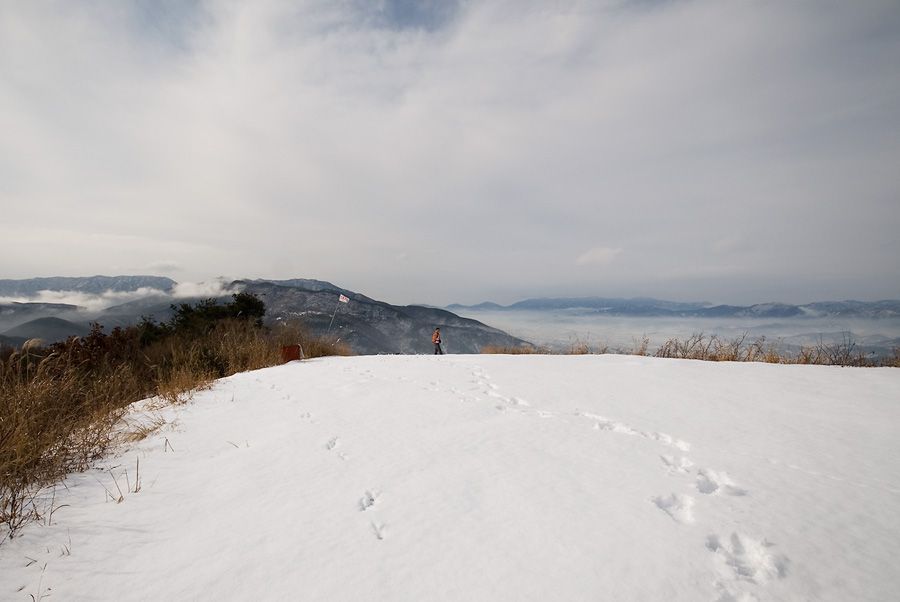 _D124812.jpg