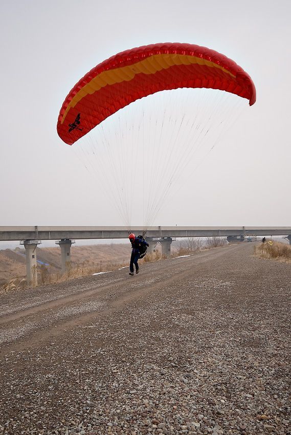 _D125473.jpg