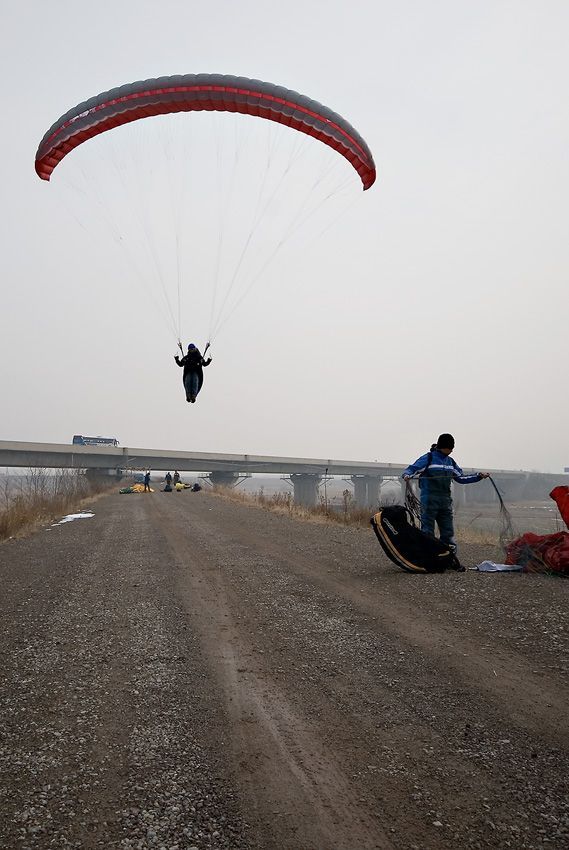 _D125487.jpg