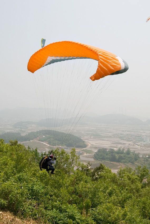 _D127981.jpg