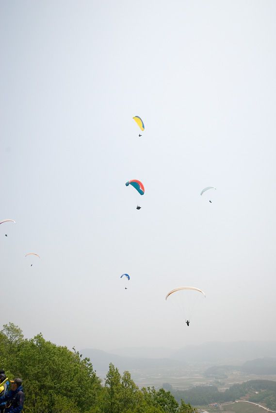 _D127972.jpg