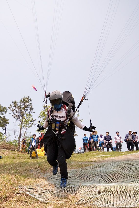 _D127950.jpg