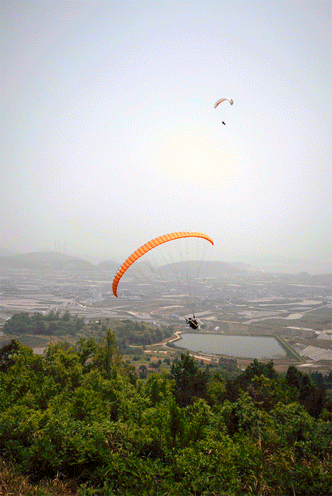 _D127987.gif