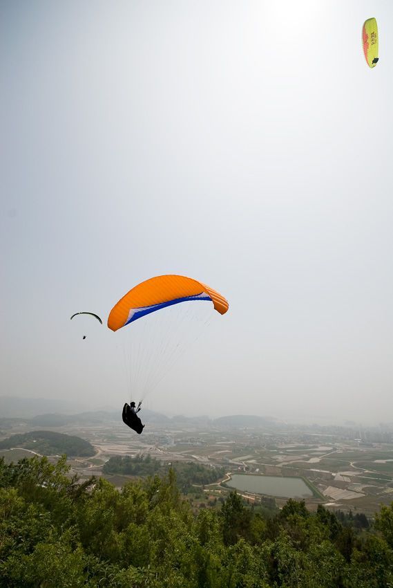 _D128006.jpg