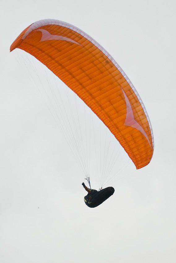 _D122748.jpg