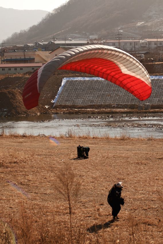 _D134603.jpg