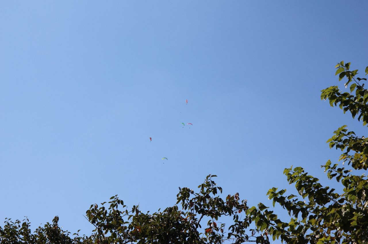 IMG_2279.JPG