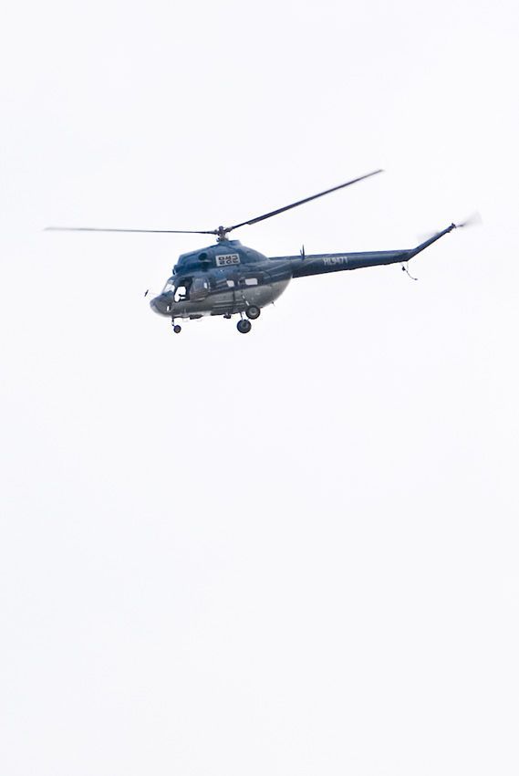 _D125562.jpg