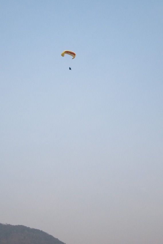 _D125670.jpg