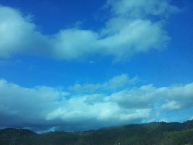 2012-04-22 17.17.36.jpg