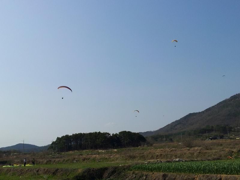 2012-04-15 15.44.26.jpg