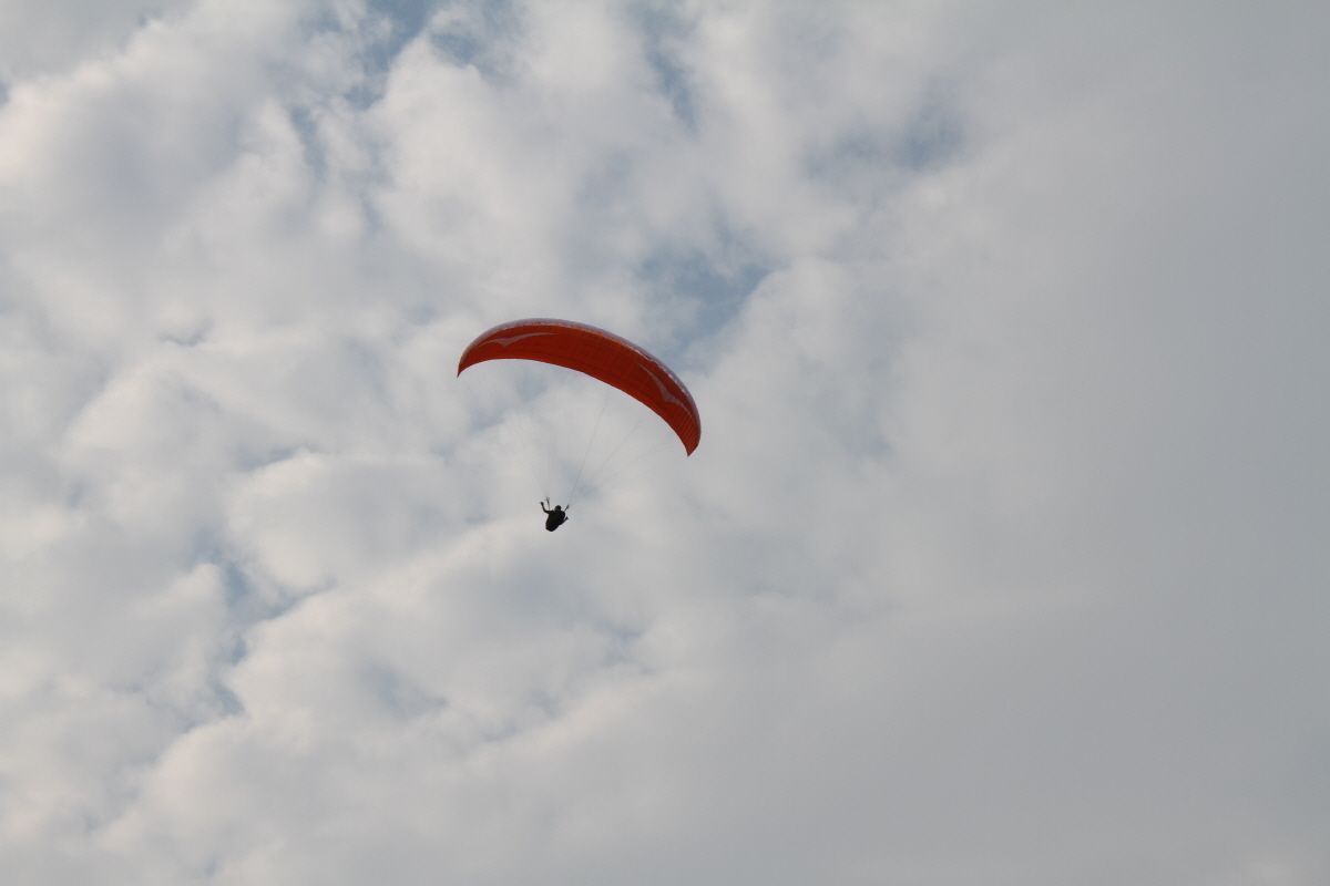 800IMG_0103.JPG