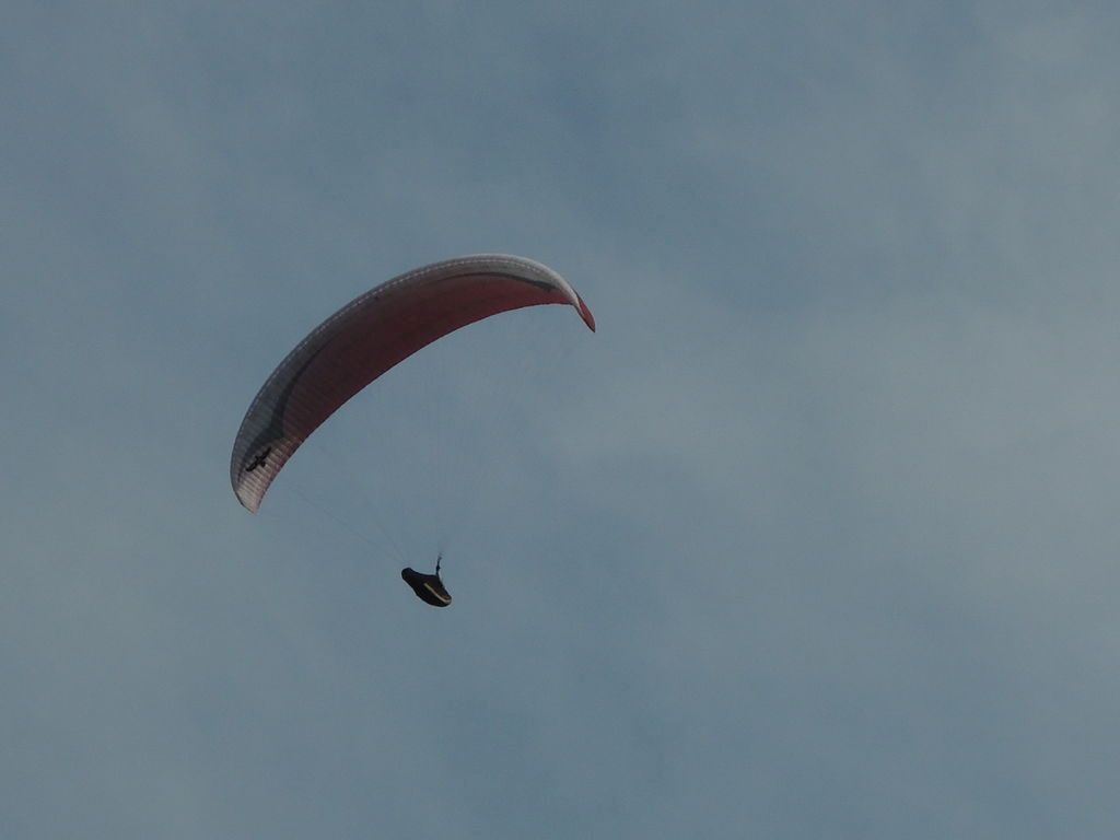 DSCN0983.JPG