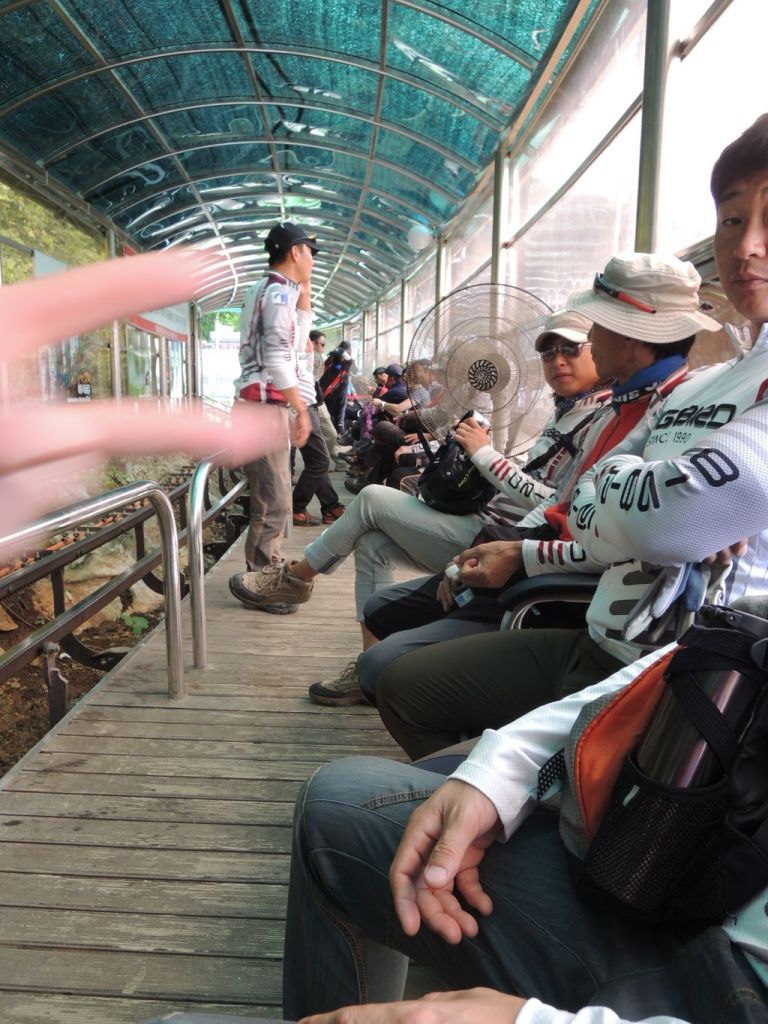 DSCN0931.JPG