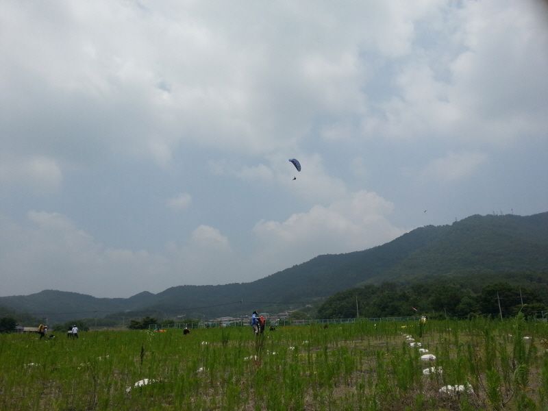 20130629_122858.jpg