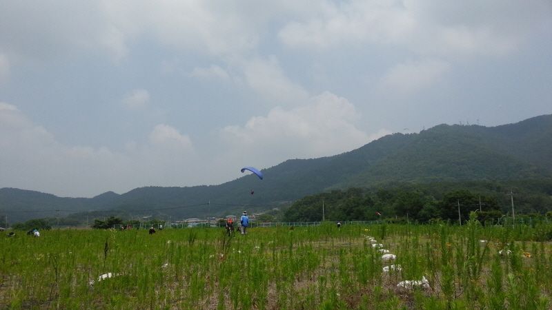 20130629_122931.jpg