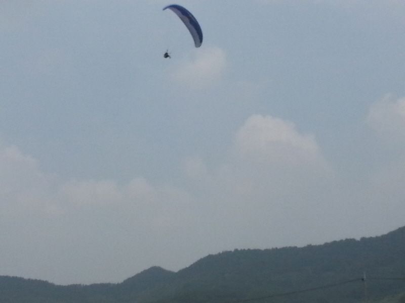 20130629_122910.jpg