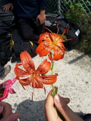 20130629_104306.jpg