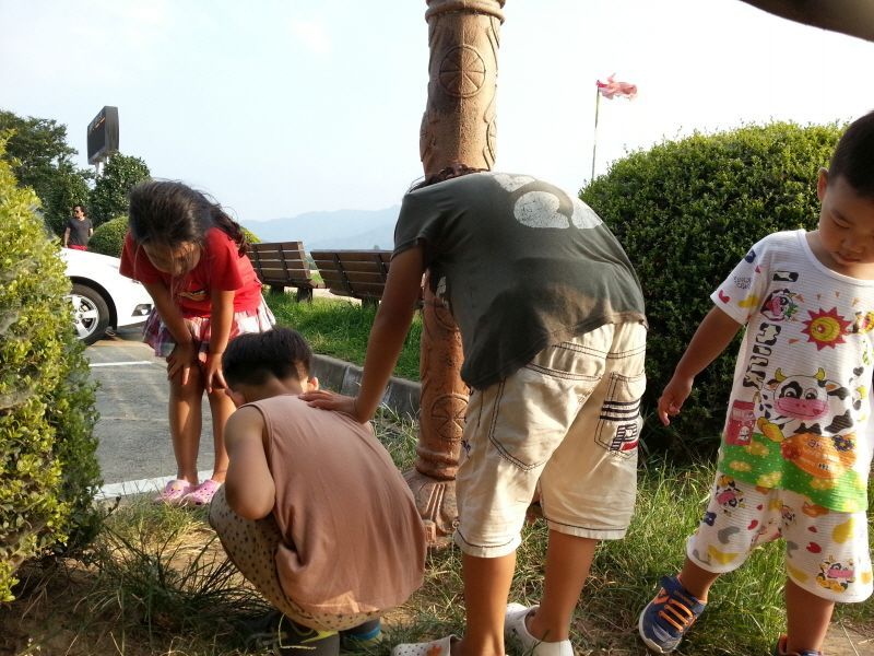 20130818_173513.jpg