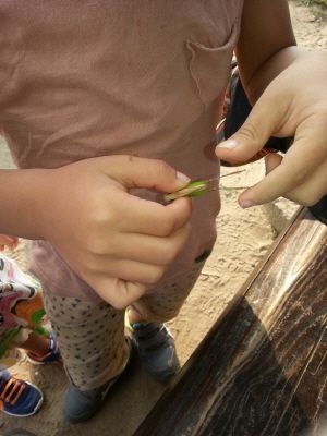 20130818_173320.jpg