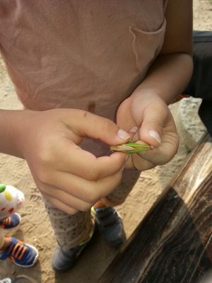 20130818_173318.jpg