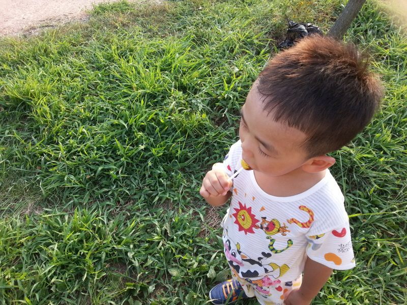 20130818_181003.jpg