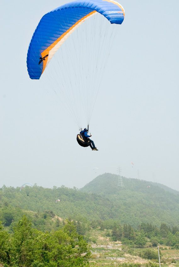 _D128080.jpg