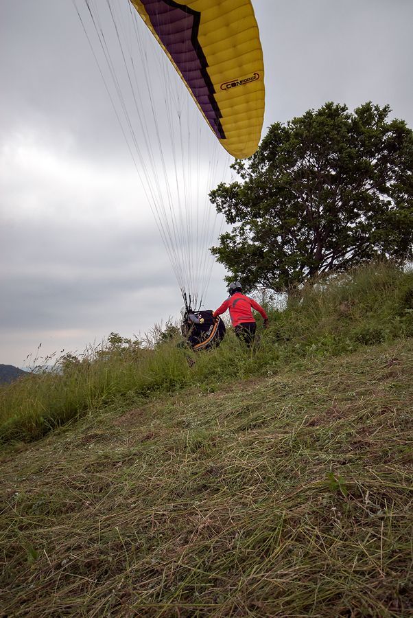 _D129960.jpg