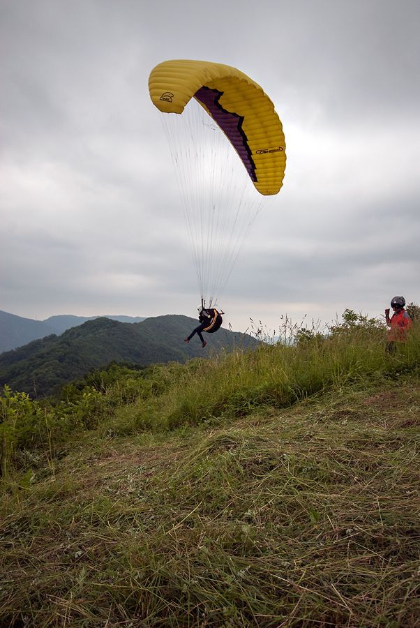 _D129961.jpg
