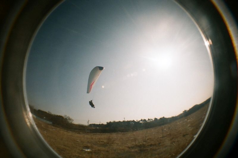 08490039.JPG
