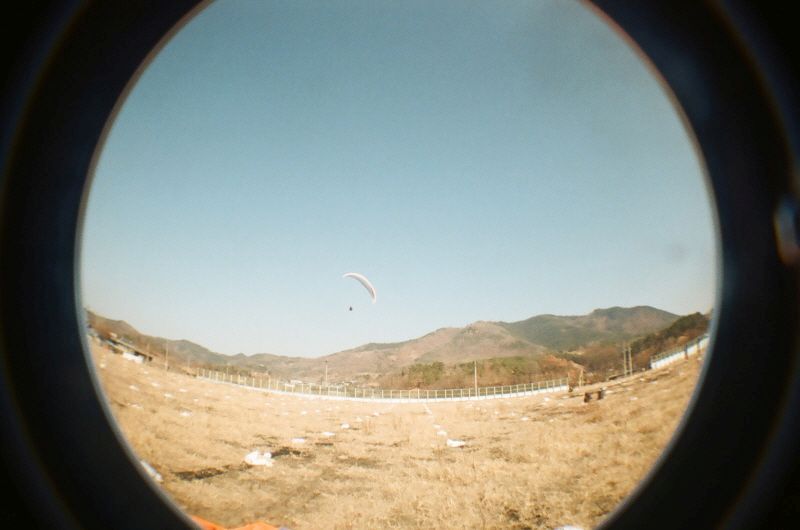 08490037.JPG