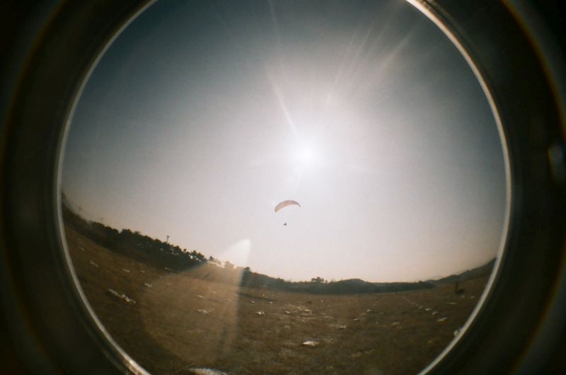 08490035.JPG