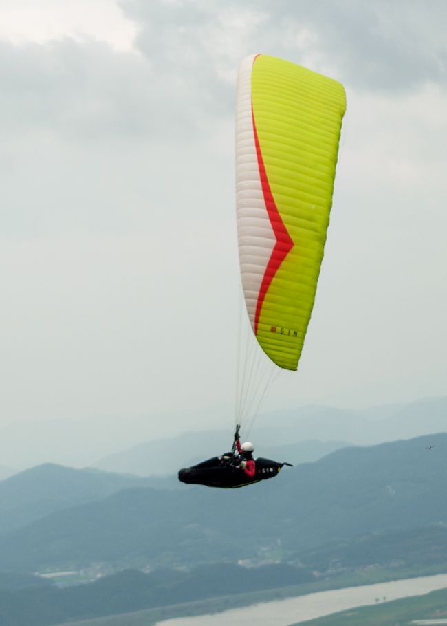 _D130869.jpg
