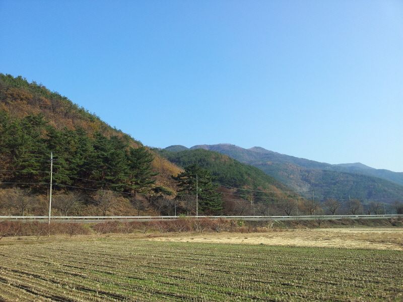 2011-11-26 13.54.28.jpg