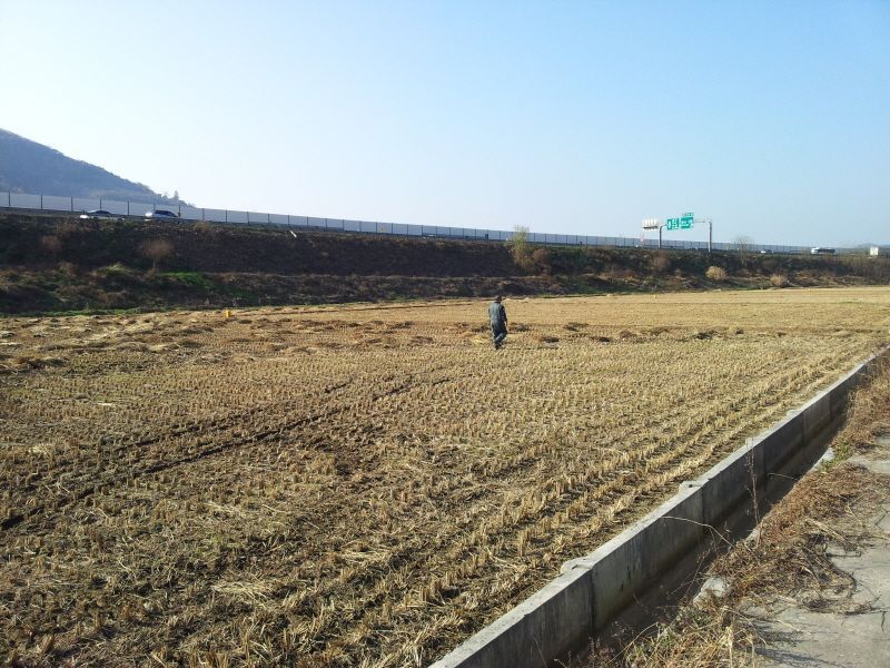 2011-11-26 13.56.07.jpg