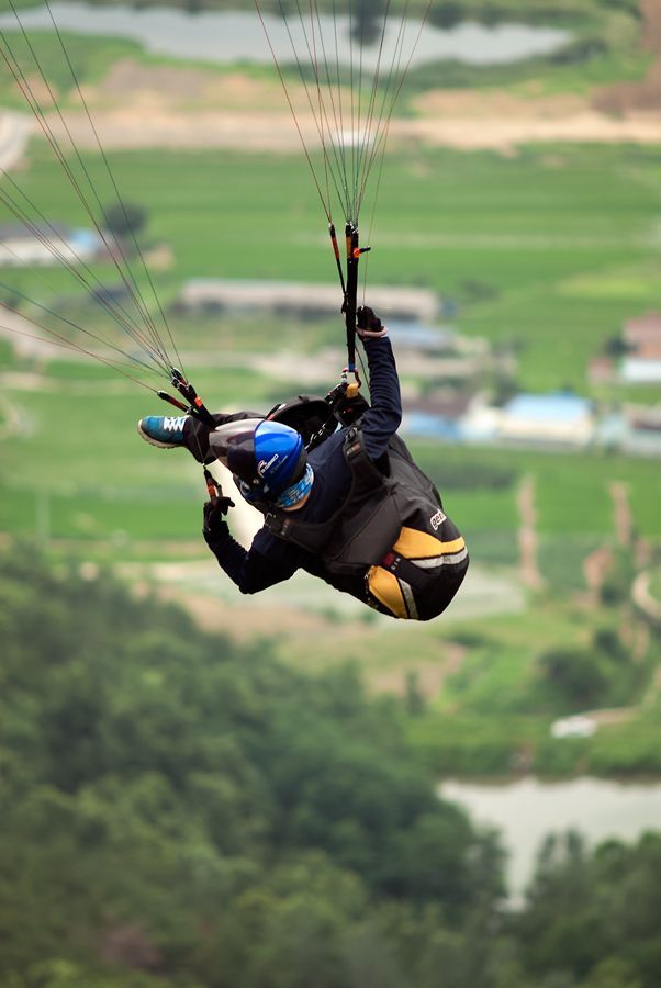 _D120636.jpg