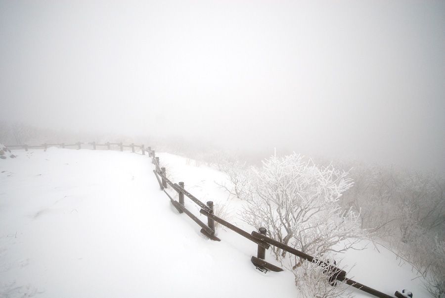 _D124964.jpg