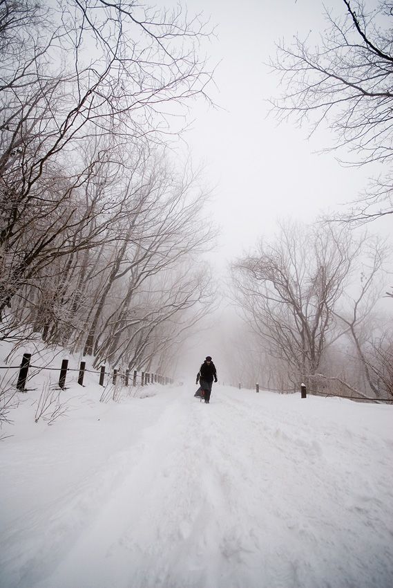 _D124919.jpg