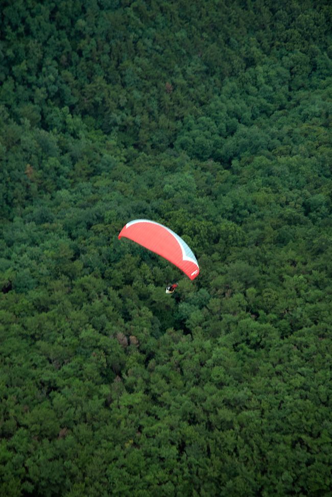 _D130957.jpg
