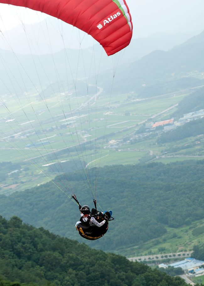_D130890.jpg