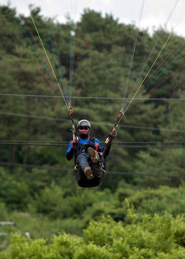 _D120760.jpg