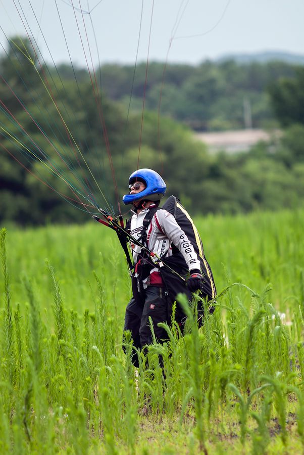 _D120758.jpg