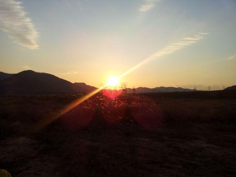 2011-11-19 16.50.20.jpg