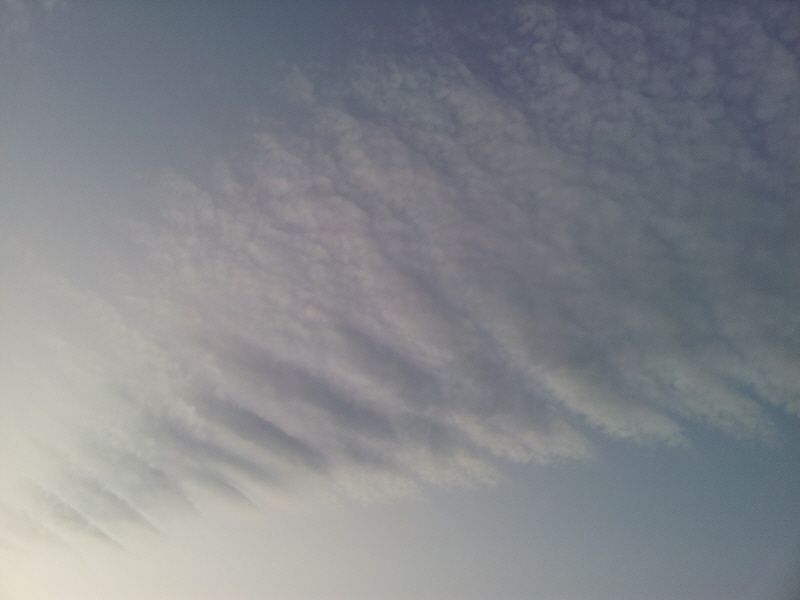 2011-11-19 17.26.00.jpg
