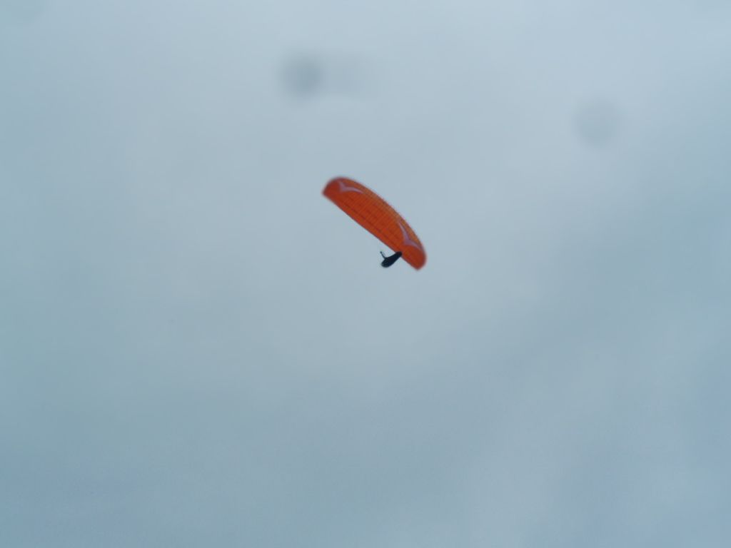 SAM_3107.JPG