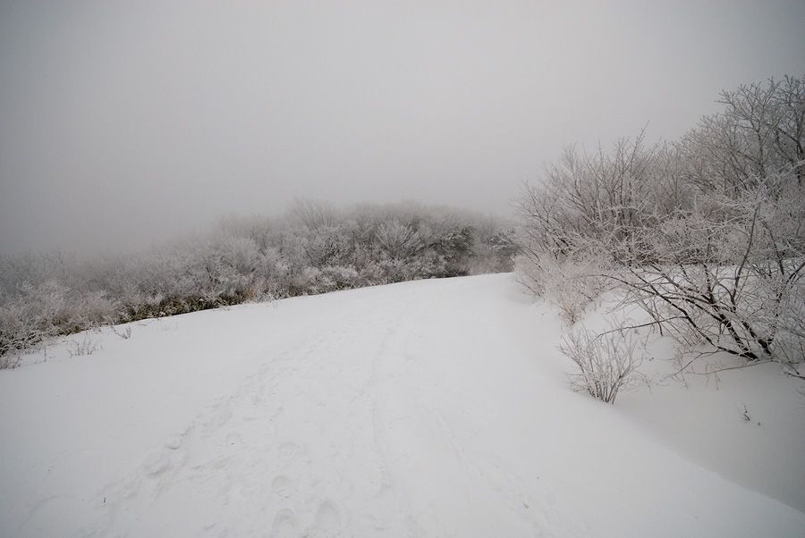 _D125063.jpg
