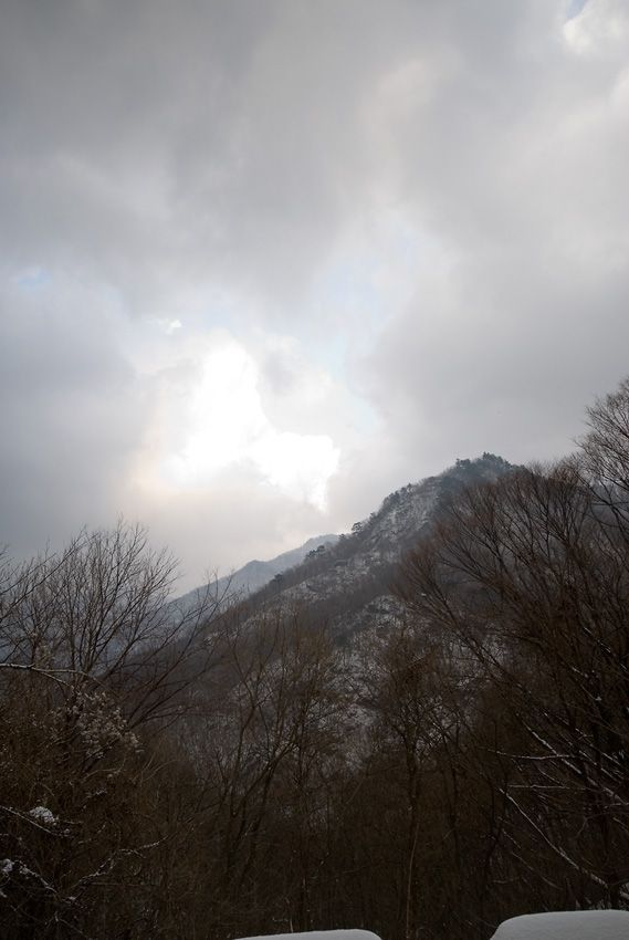 _D125084.jpg