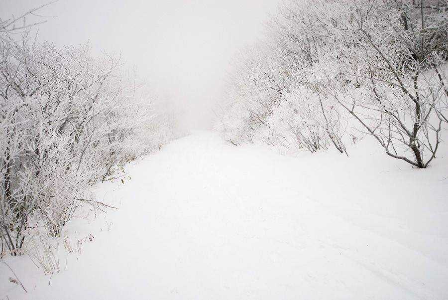 _D125054.jpg